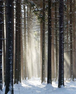 winter